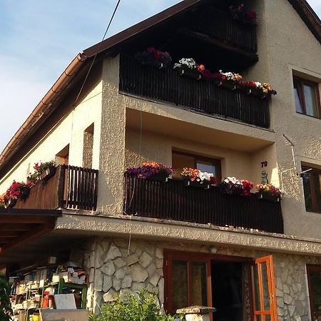 Apartmany Sharka -Sarka Justrova Дечин Экстерьер фото